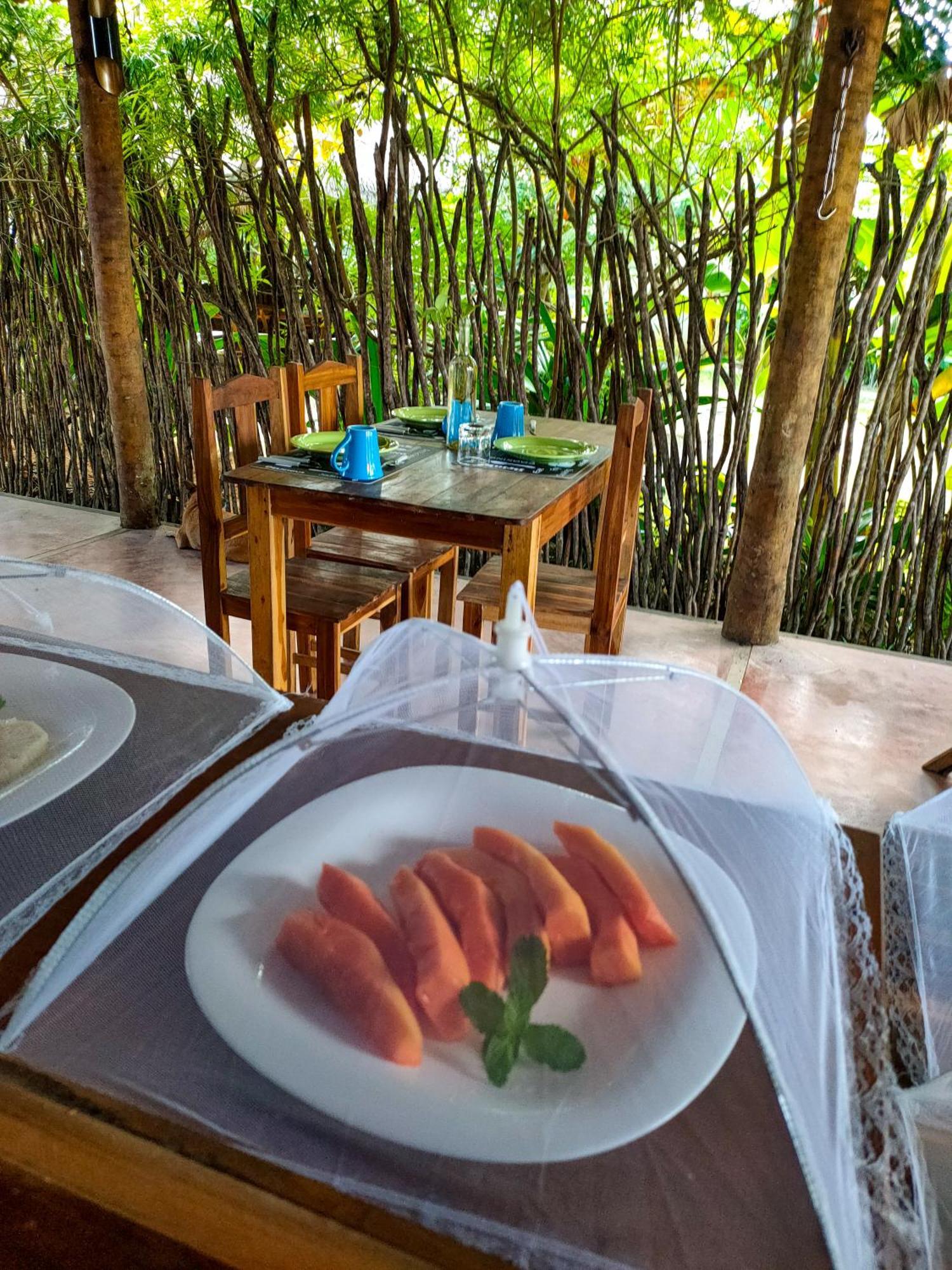 Icarai Kite House Hotel Ngoại thất bức ảnh
